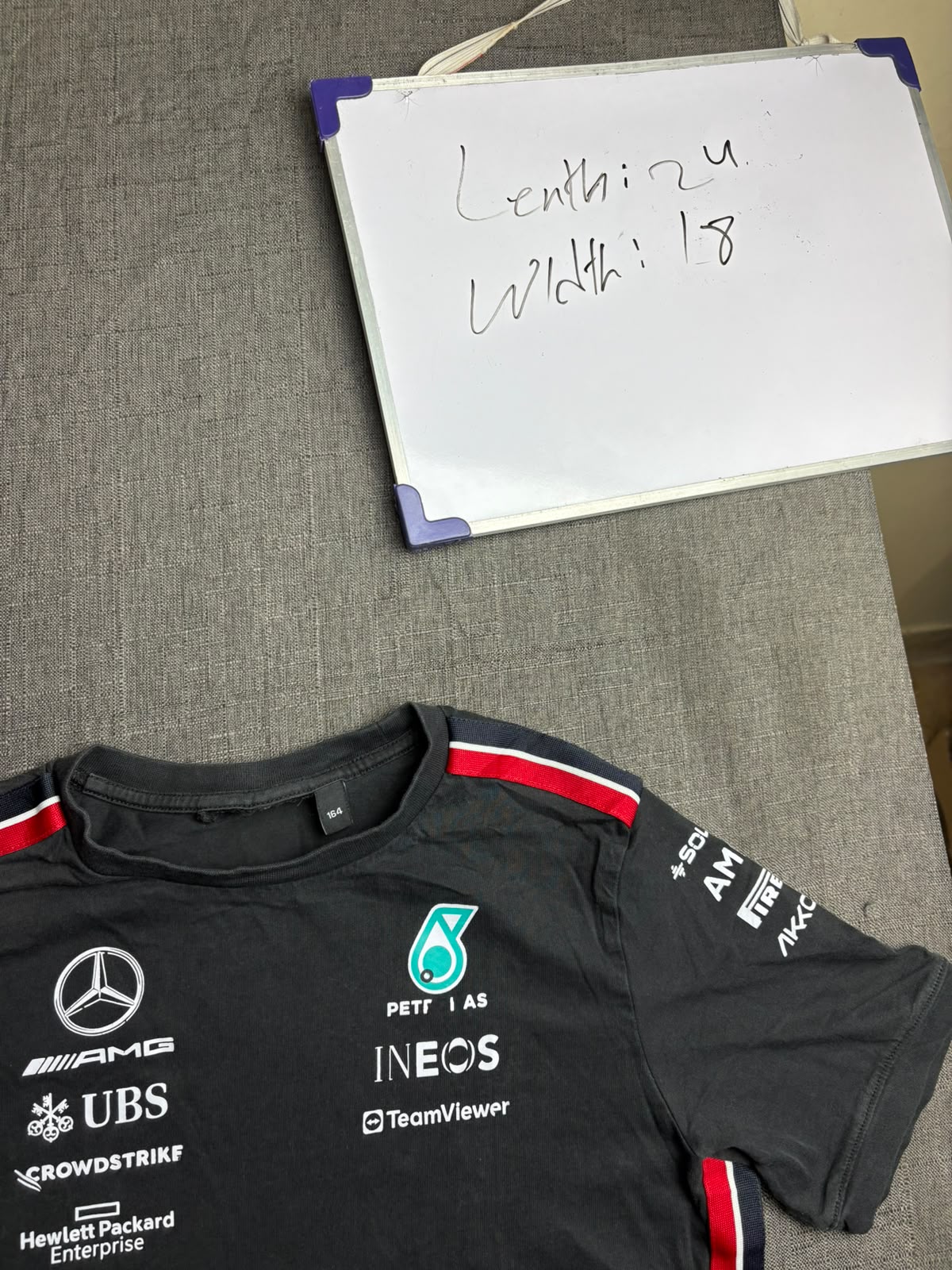 Mercedes-AMG Petronas F1 tee