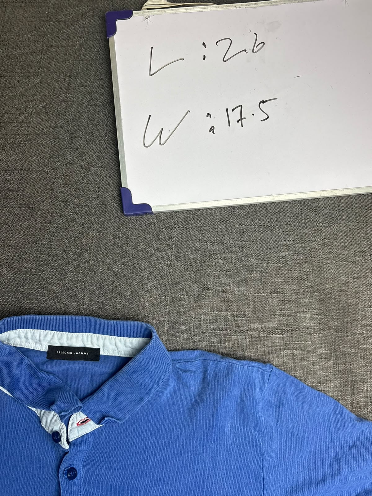 Blue Polo