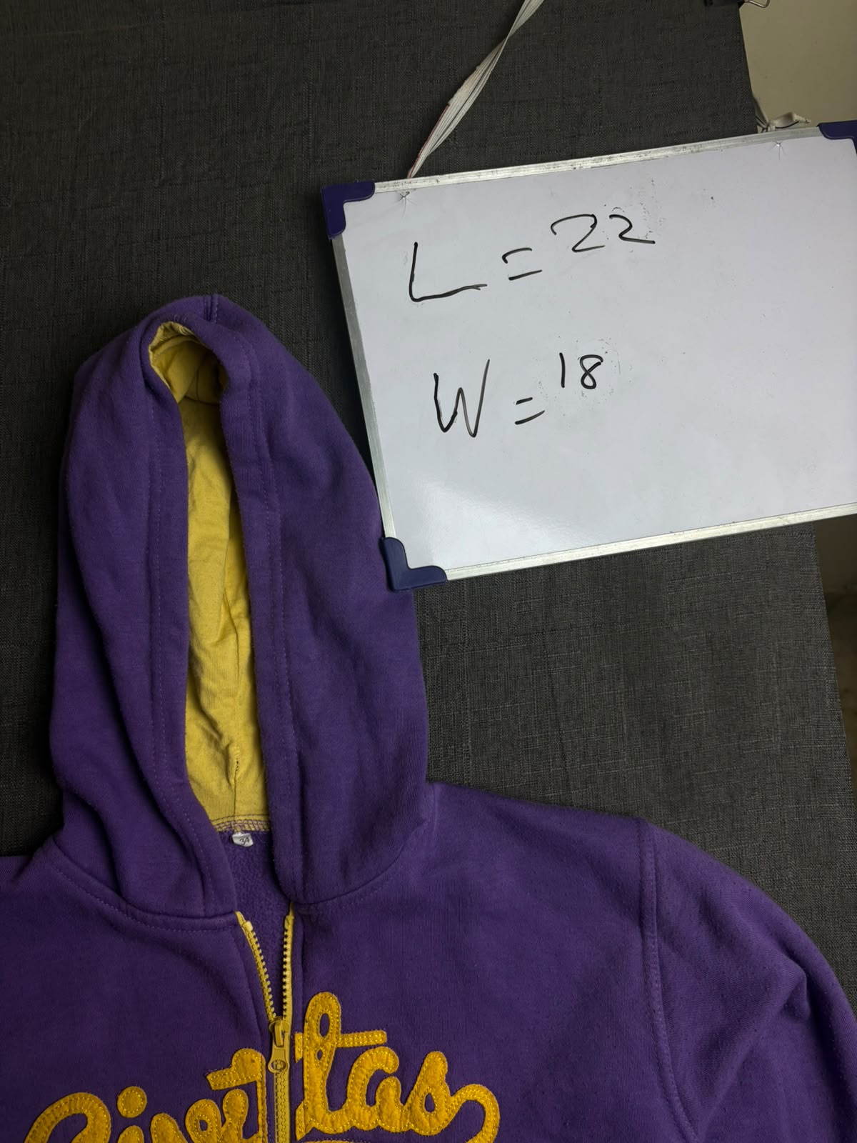 Purple Zipper